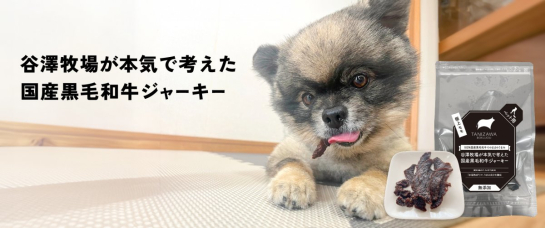 ジャーキーのショップ
